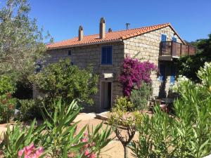 Maisons de vacances Le moulin de Figari : photos des chambres