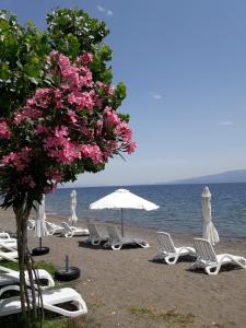 Posidonia Pension Evia Greece