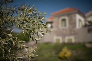 Moongarden Resort Lesvos Greece