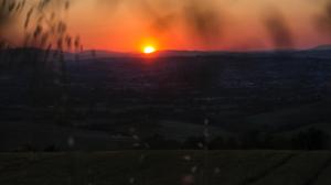 Il Giardino delle Rose