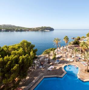 Trh Jardin Del Mar hotel, 
Majorca, Spain.
The photo picture quality can be
variable. We apologize if the
quality is of an unacceptable
level.