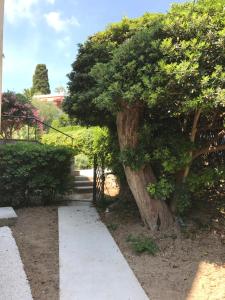 Au cœur de St Jean Cap Ferrat