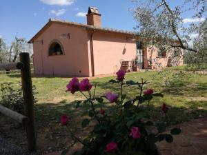 Agriturismo Il Loghino