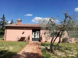 Agriturismo Il Loghino - Montefoscoli