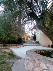 Kalliope Apartments Lefkada Greece