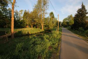 Grüne Farm - FeWo Ost