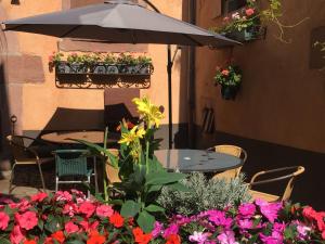 Appartements Laterale Residences Riquewihr : photos des chambres