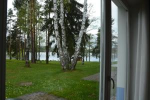 Apartaments Apartment Riviera Lipno Lipno pie Vltavas Čehija