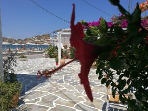 Mare Monte Ios Greece