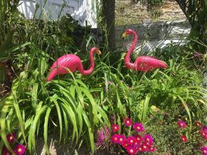 The Retro Retreat with free parking