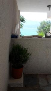 Island Apartments Samos Greece