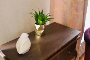 B&B / Chambres d'hotes Une maison en ville, Hyper Centre ville, Spa : photos des chambres