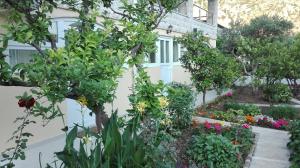 Kotor Kelly Apartments