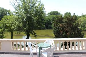 Hotels Hotel Etang des Reynats : Chambre Double Terrasse - Vue sur Lac