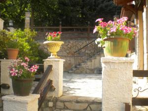 To Patriko tou Psillou