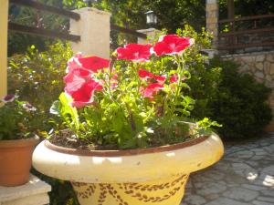 To Patriko tou Psillou