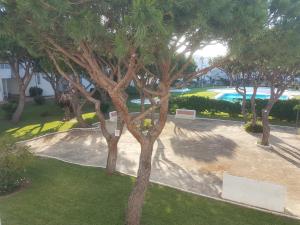 Sancti Petri Marinero