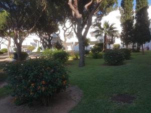 Sancti Petri Marinero