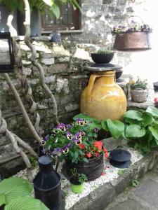 Traditional Rooms Papigko Zagori Greece