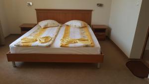 Guest House Markovi Aheloy