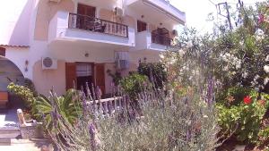 Gorgona Hotel Alonissos Greece