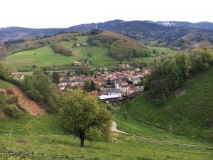 Appartements La Cle d'Alsace : photos des chambres