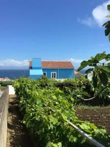 Casa do Vizinho - Porto Judeu