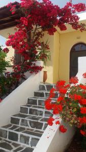 Elia Houses Lasithi Greece