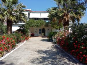 Apartment Elea Guesthouse Galaxidhion Greece
