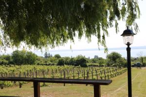 Apartamento Szepezd Pince Balatonszepezd Hungr&iacute;a