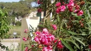 Cala Galdana Beach - Ferreries