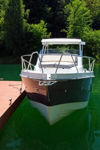 Czarter Jachtów Bez Patentu