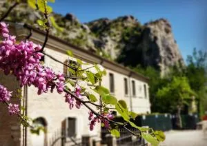 B&B Aquilegia - Аккуаланья