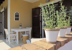Seafront Beach House With Garden Corfu Greece