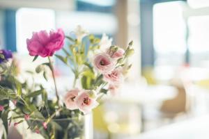 Hotels ibis budget Troyes Est : photos des chambres