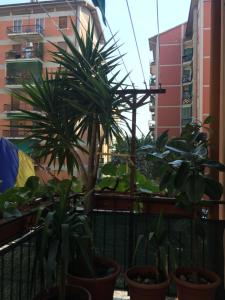 locazione turistica Sole