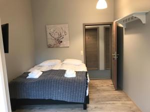 Double Room Disability Access with Private Bathroom room in Reykjadalur Guesthouse