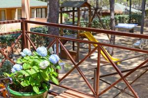 Appart'hotels Residence Les Pins : photos des chambres