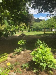 Maisons d'hotes Le Mas Sylva : Appartement - Vue sur Jardin