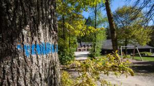 Chalets Gite de la Croix du Hetre : photos des chambres