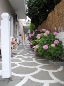 Studio Napoleon Thassos Greece