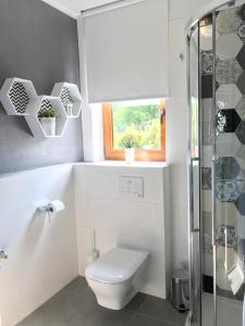 Apartament Homole B1 Szczawnica