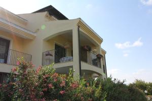 Palmas Dorada Home img12