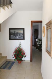 Palmas Dorada Home img10