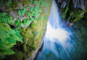 Alojamentos Turísticos São Torcato Moradal Turismo Espaço Rural