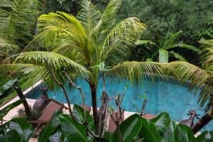 Jungle Haven Resort Central Ubud