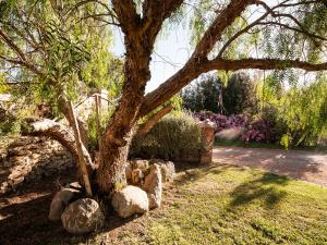 Casalventodimare e Tramontana