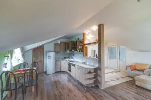 Apartmán Relax - 斯米扎尼