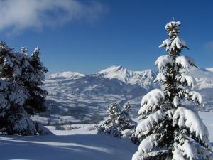 Chalets Shangrila : photos des chambres