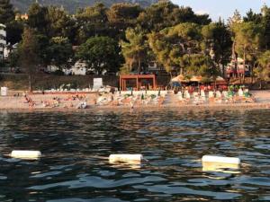 Apartments Cecunjanin